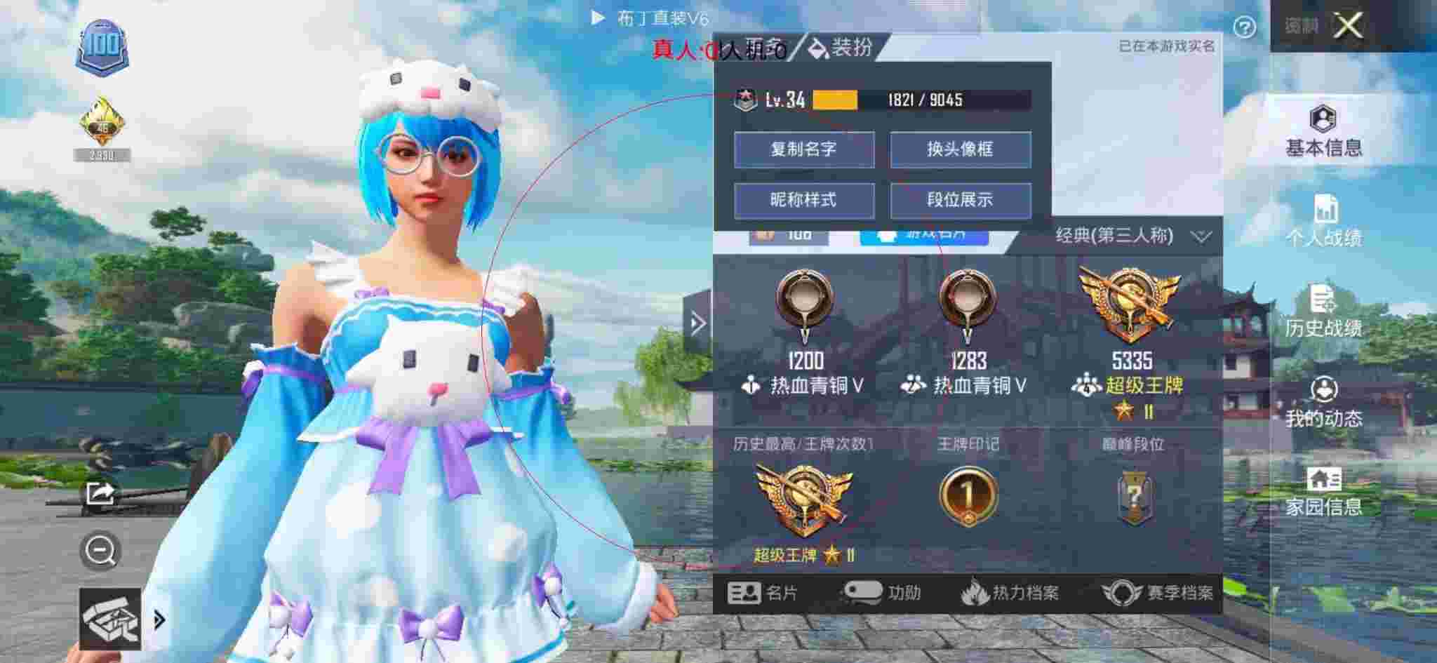 和平精英布丁直装透视 - 和平精英小狗图片辅助预览图